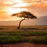 about bg 150x150.jpg