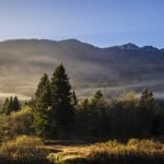 contact bg 150x150.jpg